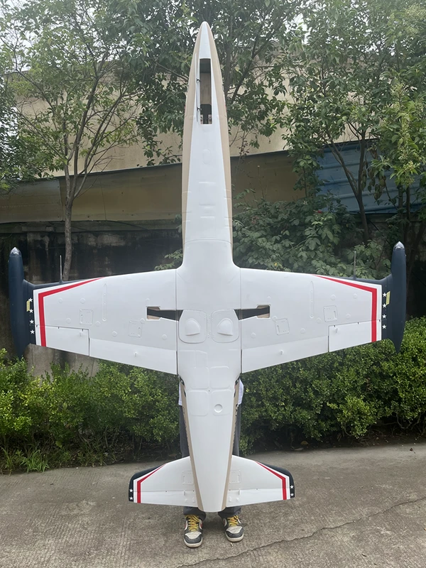 Aero L-39 — 2.6 m photo 30